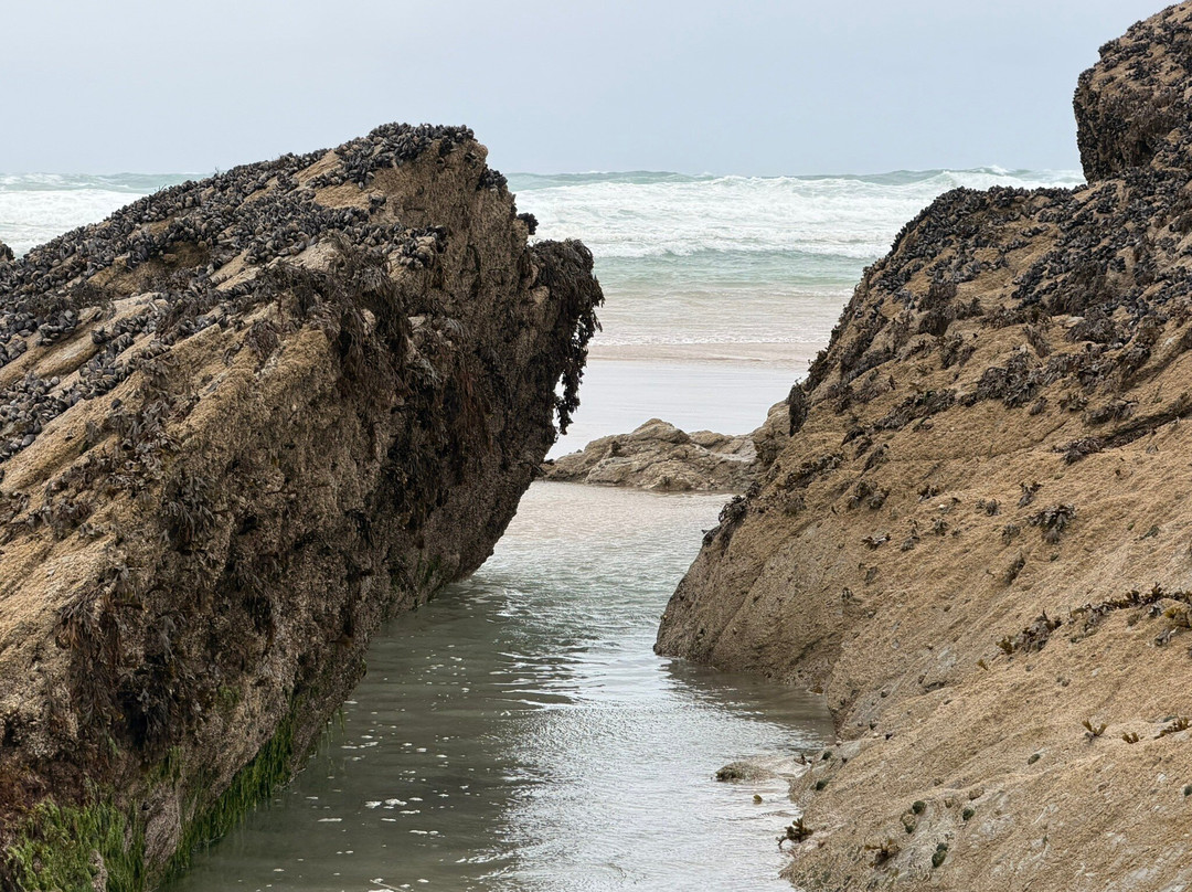 Newquay Beach-纽奎必去景点