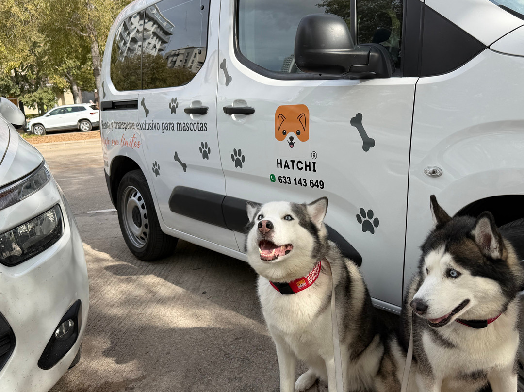 Hatchi - Transporte de mascotas-Valencia d'Aneu必去景点