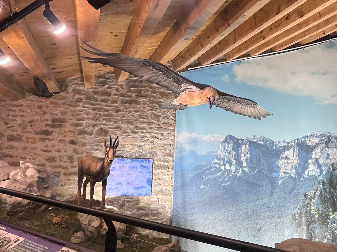 Eco Museo-Centro de Visitantes-艾因萨必去景点