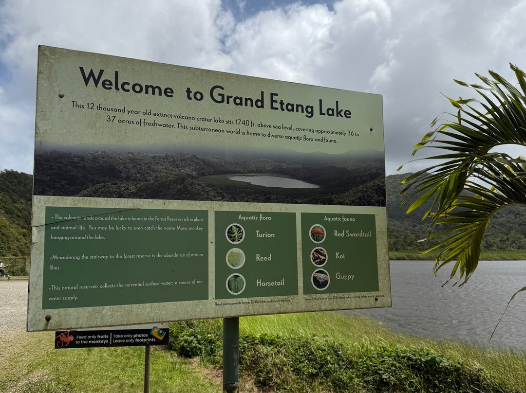 Grand Etang Lake-Grand Etang National Park必去景点