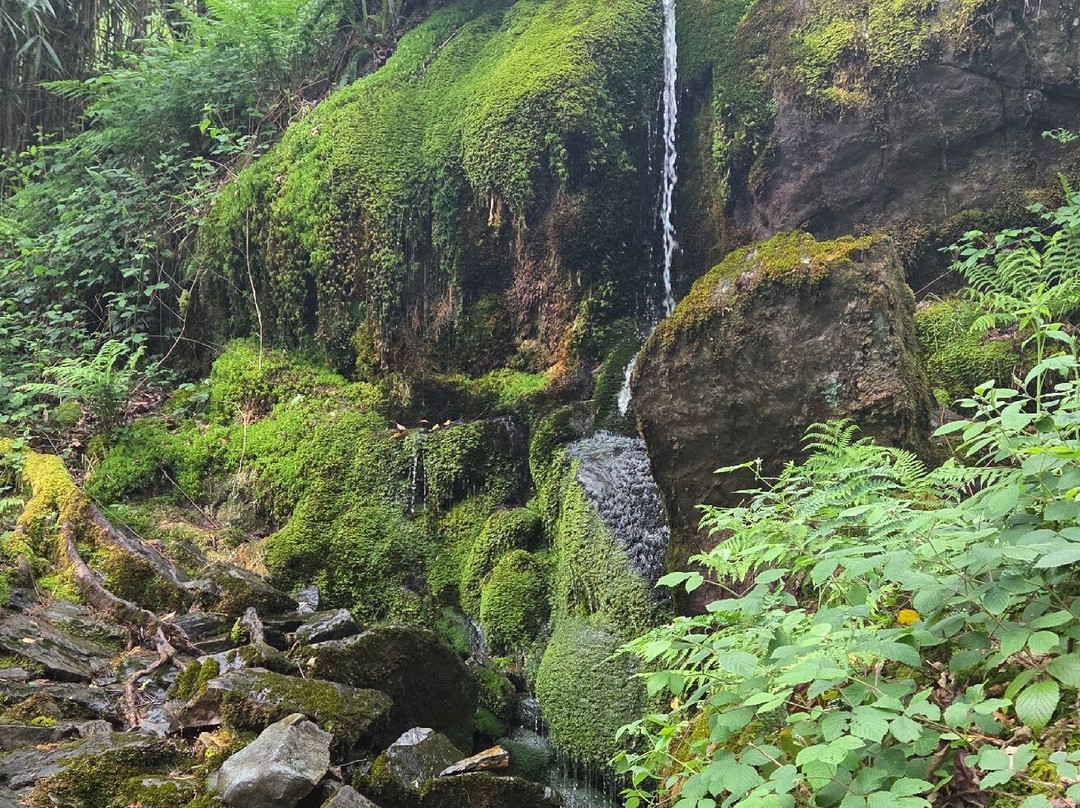 Dinas Emrys-Beddgelert必去景点