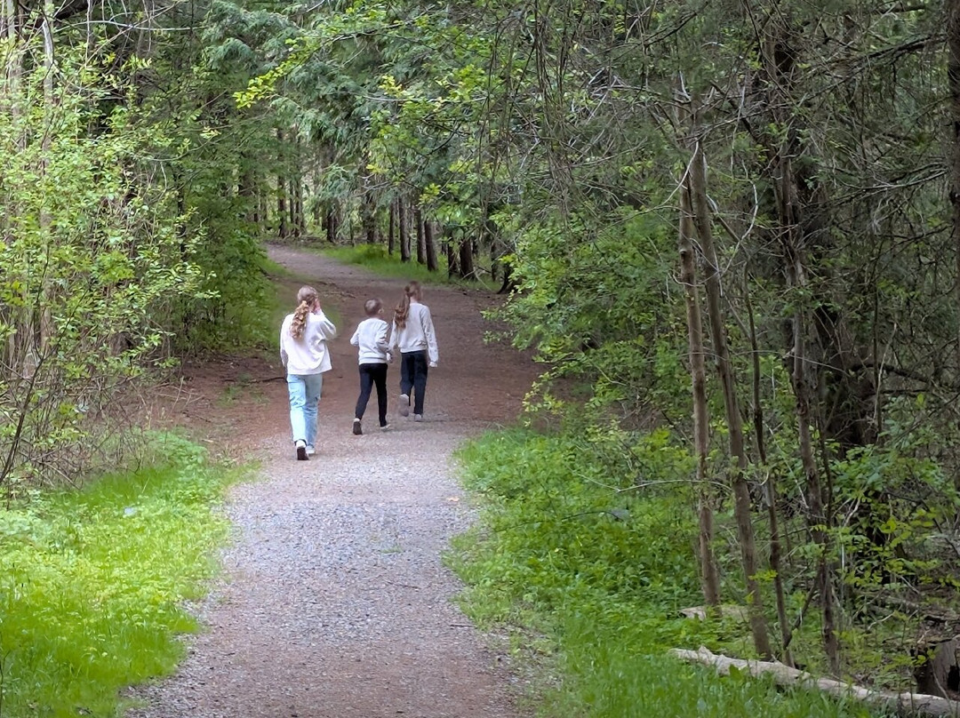 Christie Lake Conservation Area-邓达斯必去景点