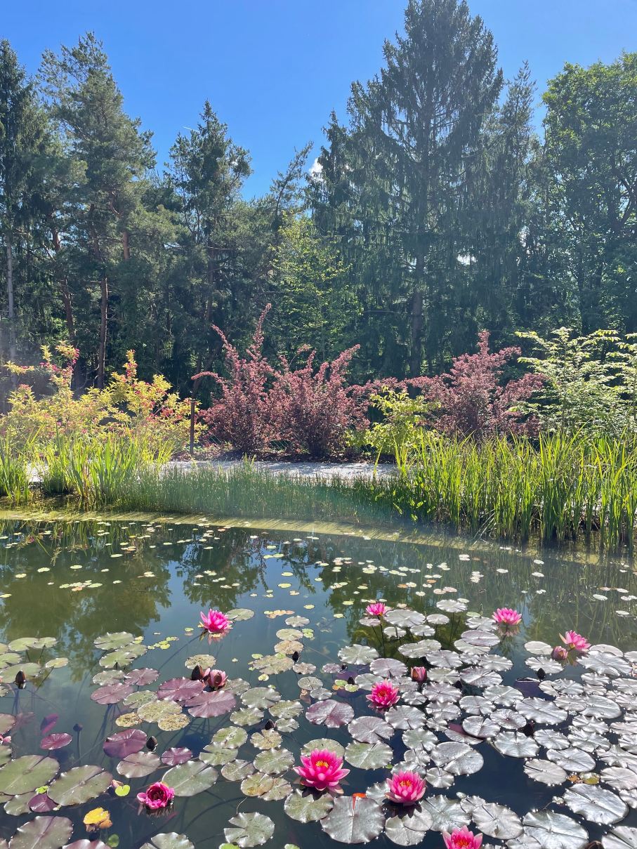 Retter Bio-Natur-Resort-泳池