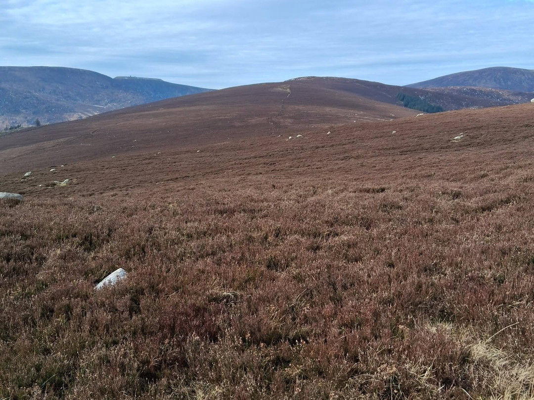 Wicklow Mountains National Park-Glendalough Village必去景点