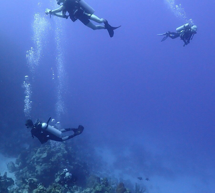 Only Blue Diving Dreams-Cockburn Town必去景点