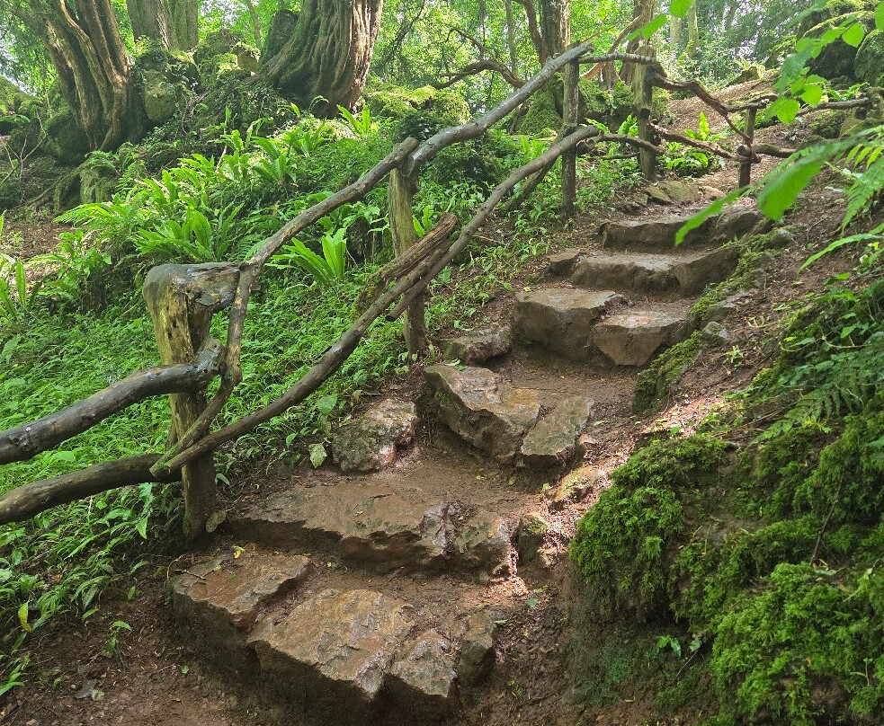 Puzzlewood-Coleford必去景点