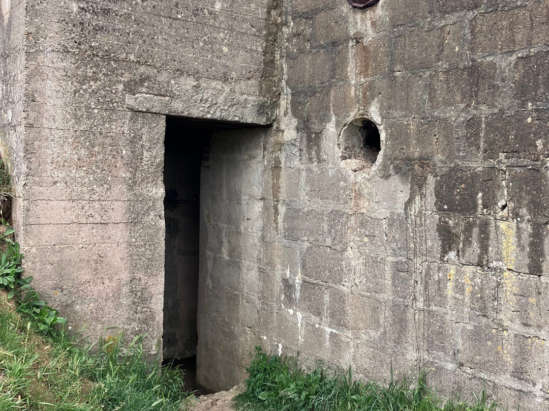 Batterie Allemande de Longues-Sure-Mer-Longues-sur-Mer必去景点