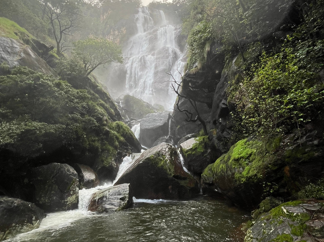 Udzungwa Mountains National Park-莫洛哥罗必去景点