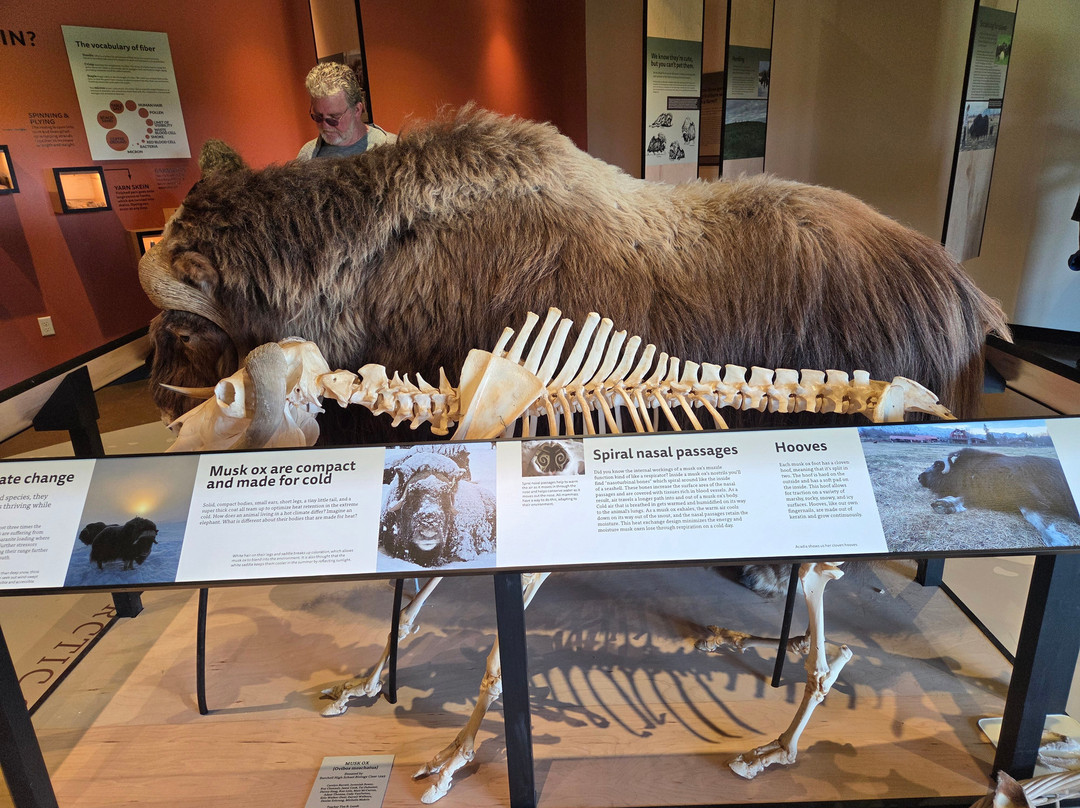 Musk Ox Farm-帕尔默必去景点