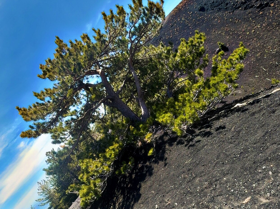 This Is Etna-卡塔尼亚必去景点