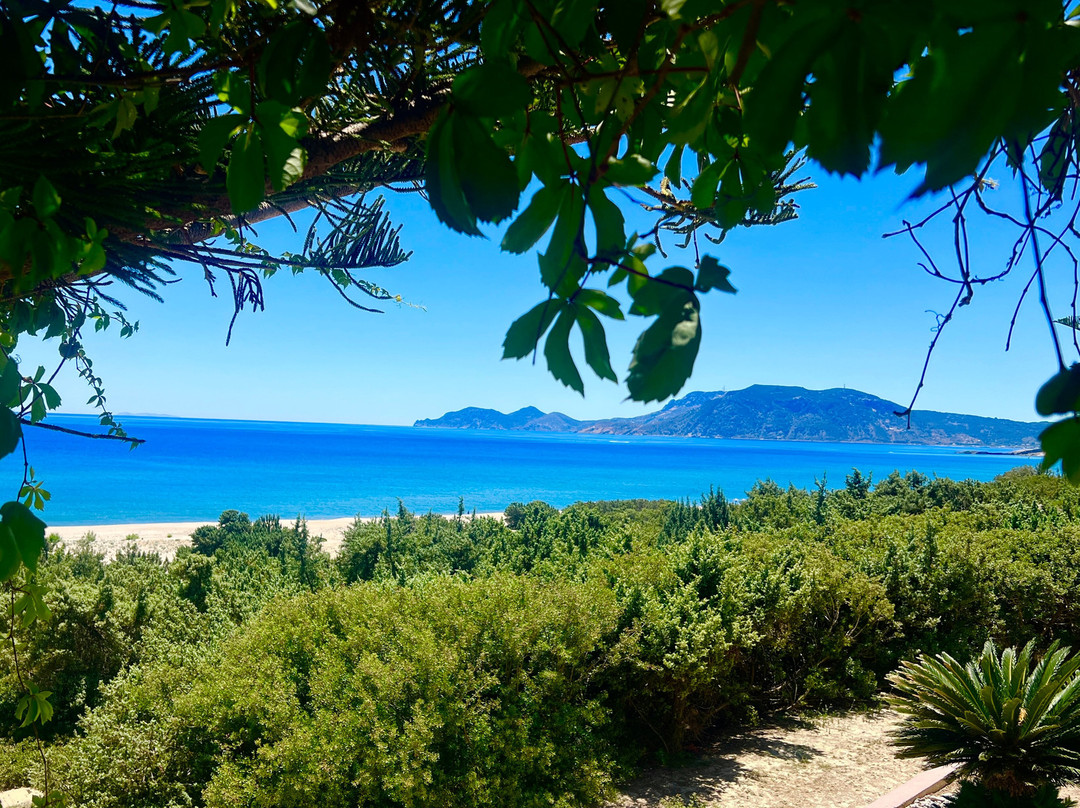Magic Beach
