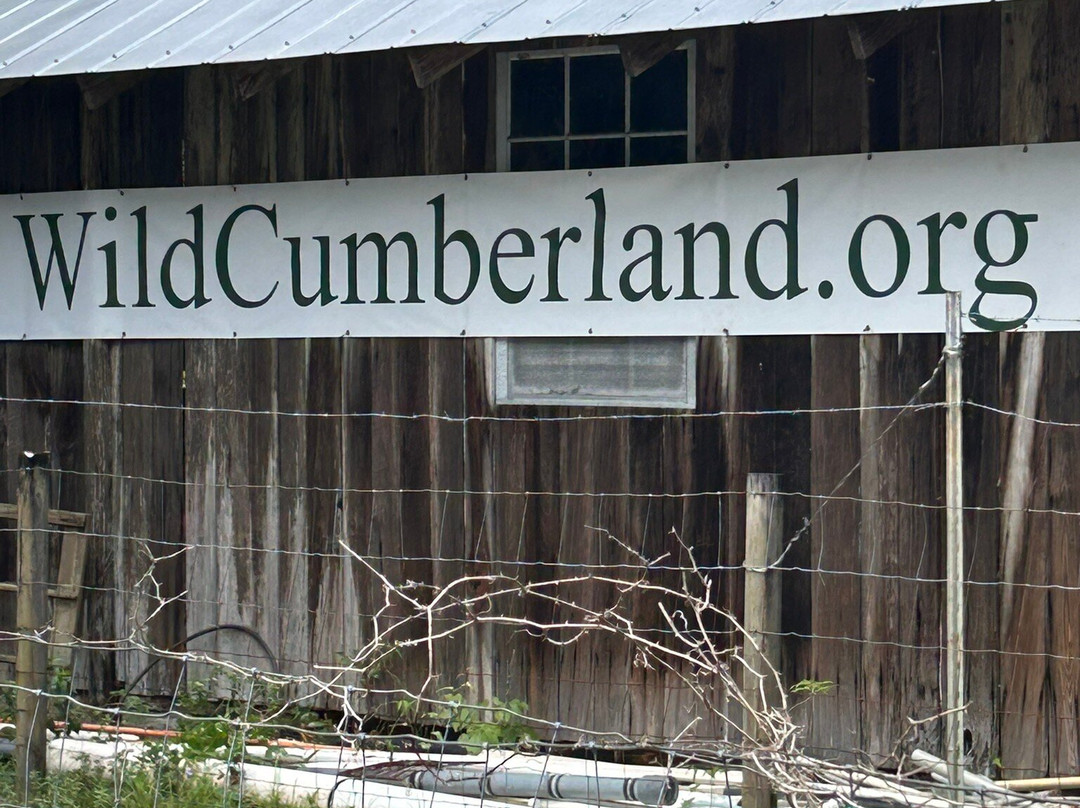 The Lands and Legacies Tour-Cumberland Island必去景点