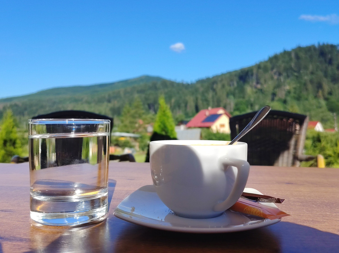 Hotel Ieremia Movila主图