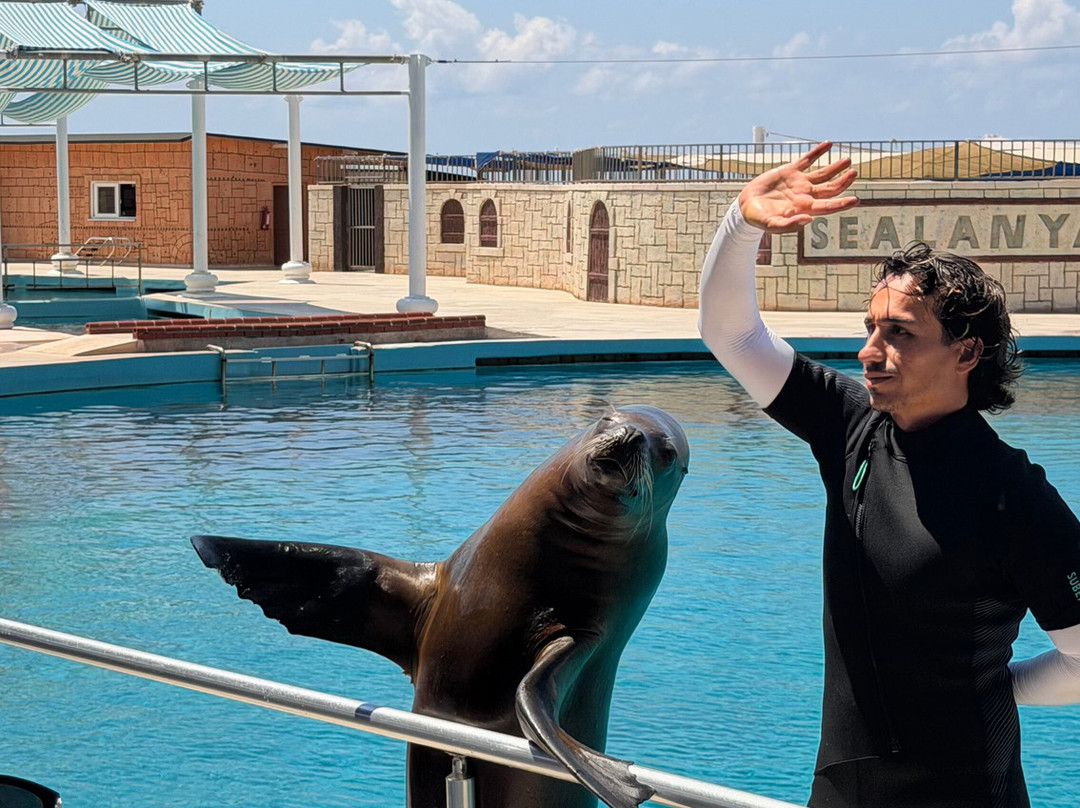 Sealanya Dolphinpark Seapark-蒂尔克莱尔必去景点