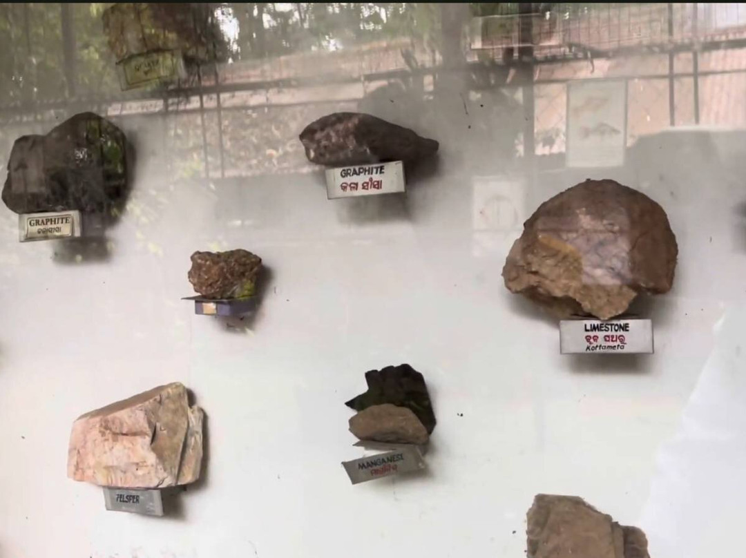 Tribal Museum-Koraput必去景点