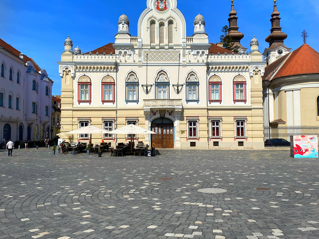 Timisoara Free Tours-蒂米什瓦拉必去景点