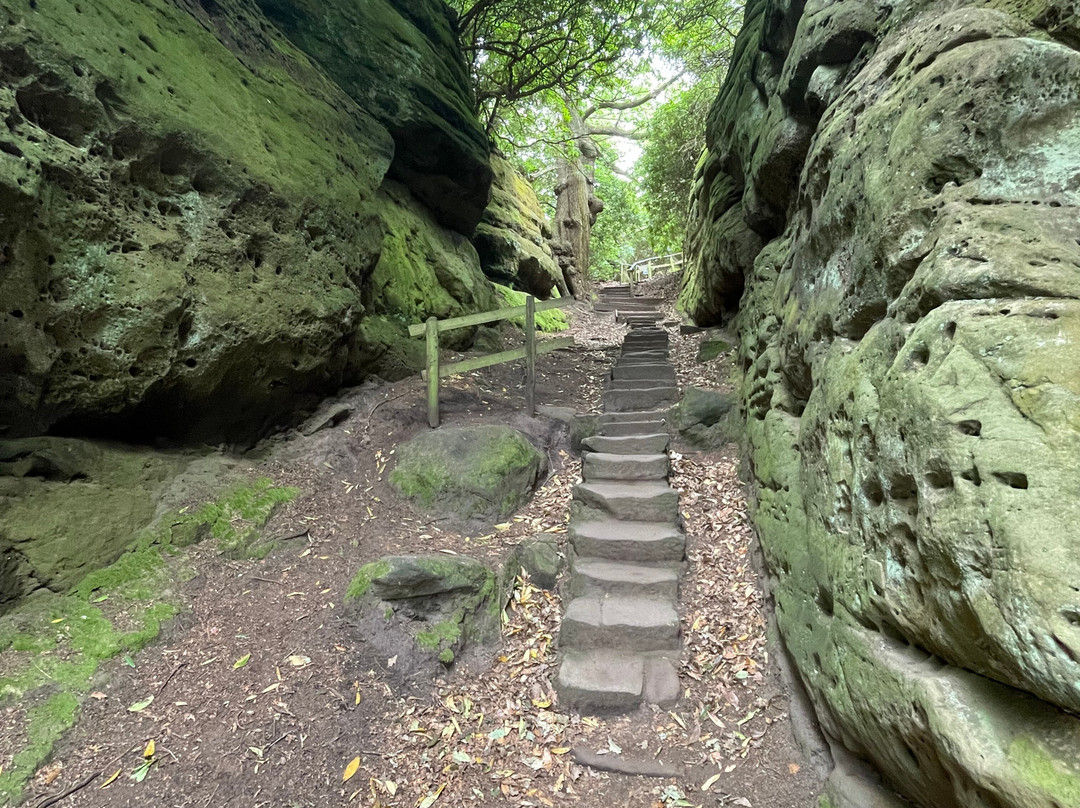 Hawkstone Park Follies-什鲁斯伯里必去景点