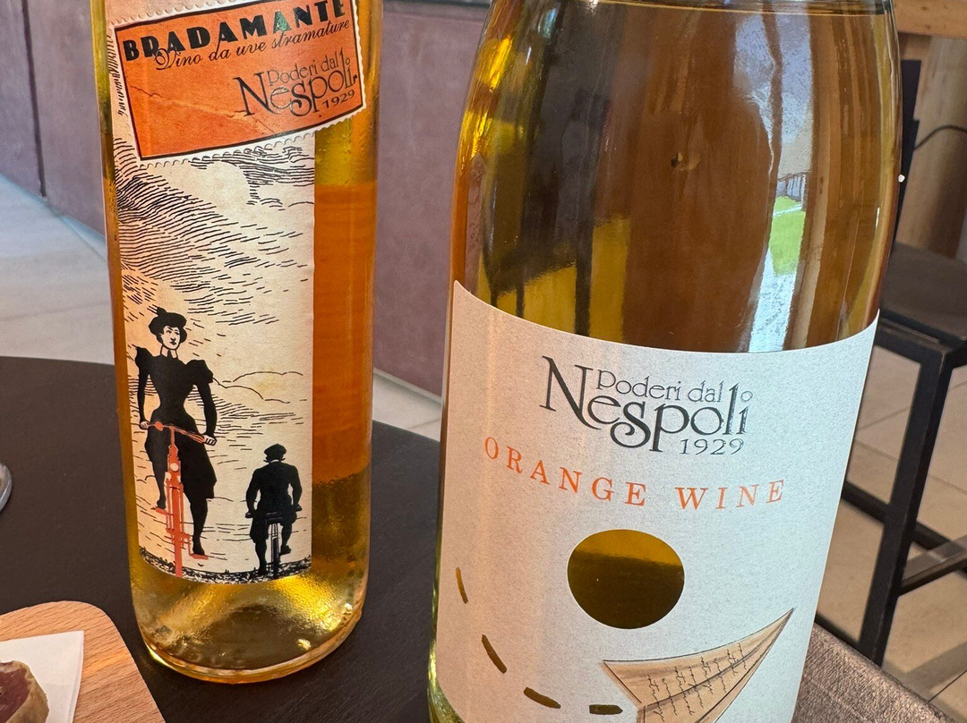 Poderi Dal Nespoli 1929-Cusercoli必去景点