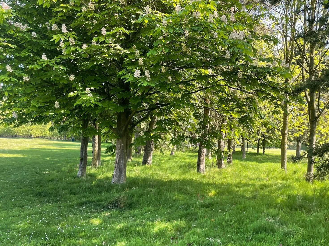 Wigmore Valley Park-卢顿必去景点