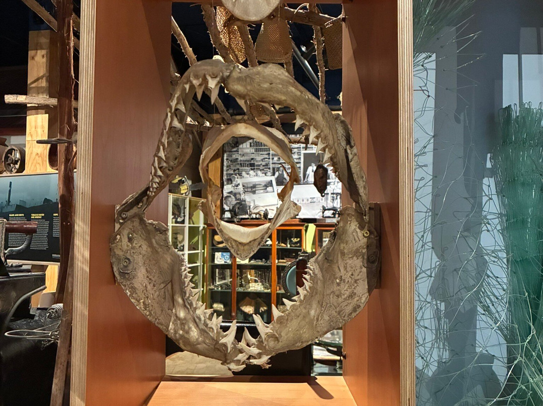 Kaikoura Museum-Kaikoura必去景点