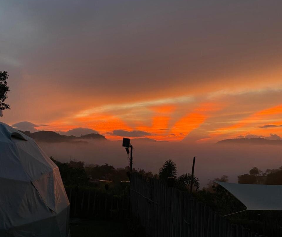 The Apiary Mountain Camp and Farm