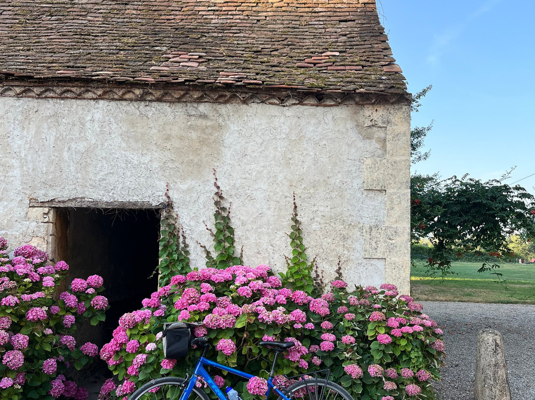 Aquitaine Bike-库和比加罗屈埃必去景点