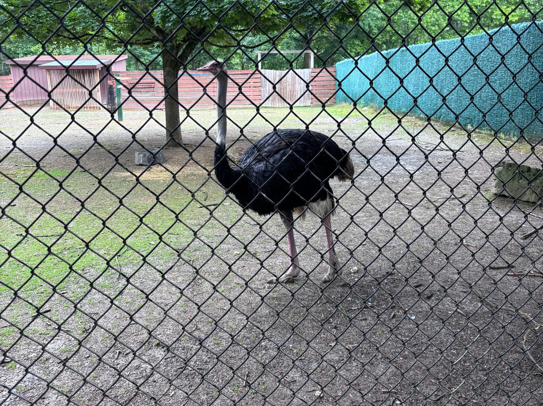 Lehigh Valley Zoo-Schnecksville必去景点