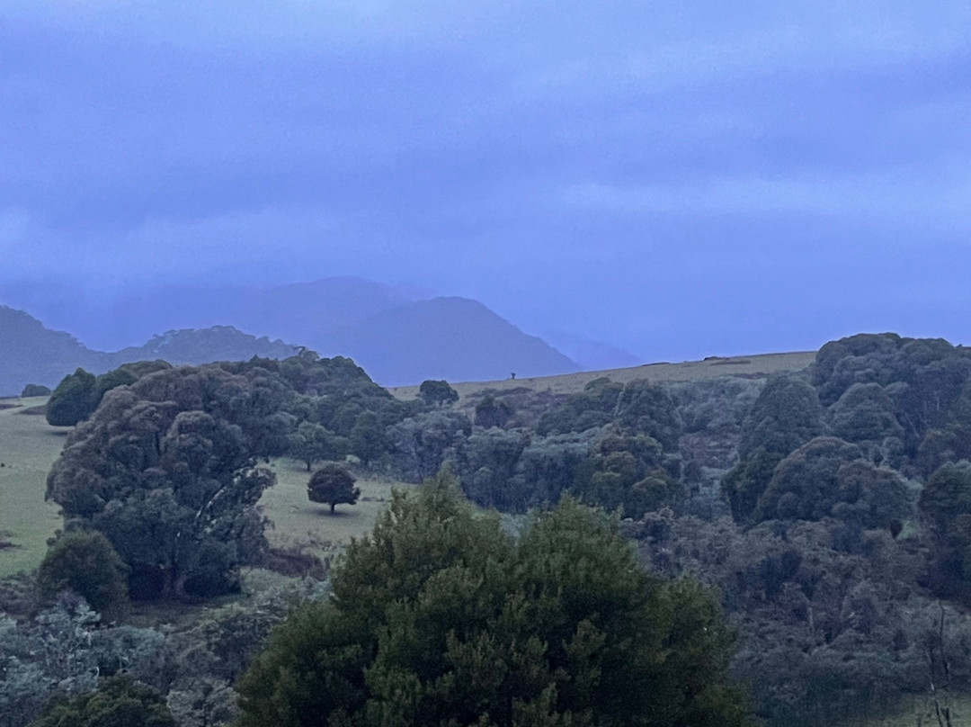 Watson's Mountain Country Trail Rides - Day Tours-曼斯菲尔德必去景点