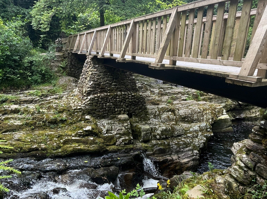 Tollymore Forest Park-纽卡斯尔必去景点