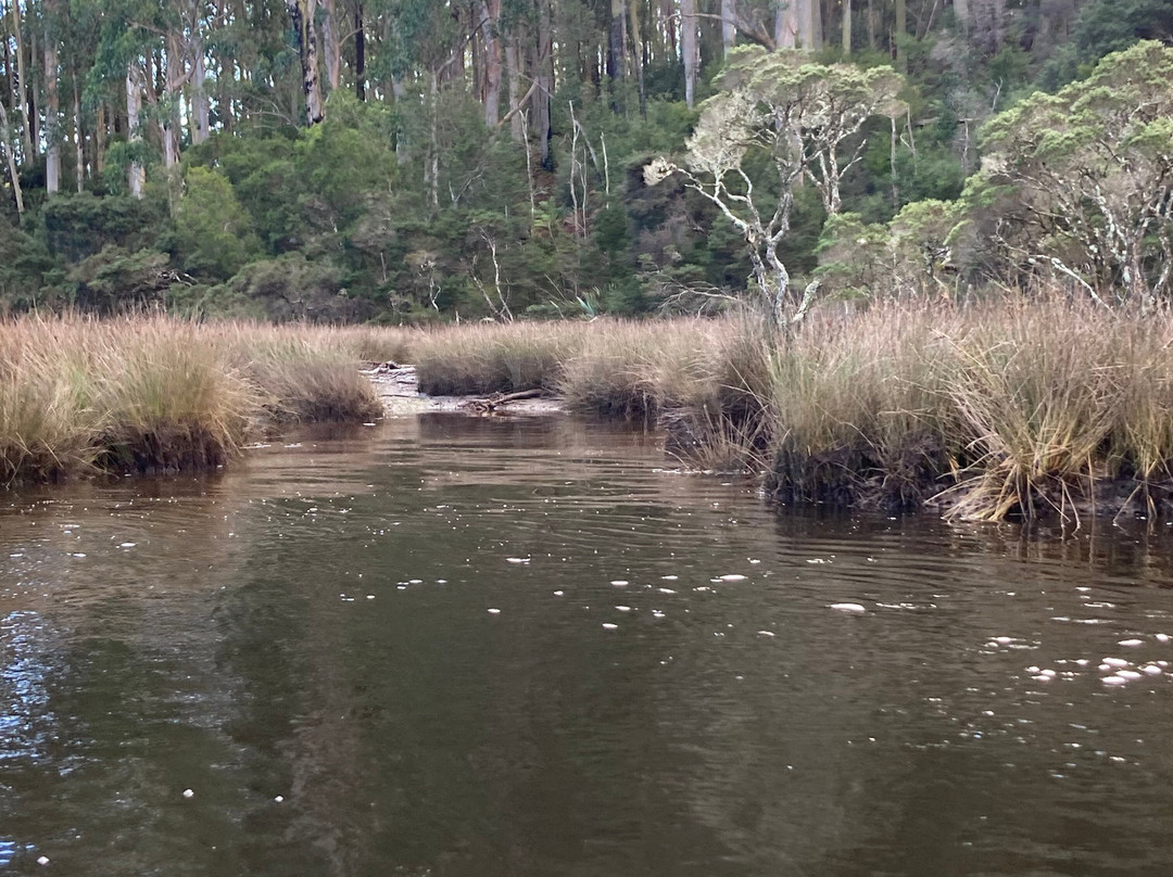 Leven River Cruises-Ulverstone必去景点