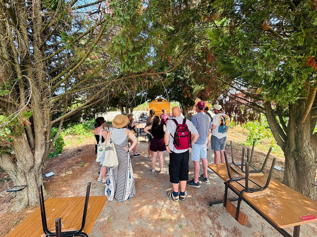 Canals & Munne-桑特萨杜尔尼达诺亚必去景点