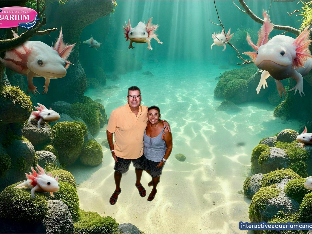 互动式水族馆-坎昆必去景点