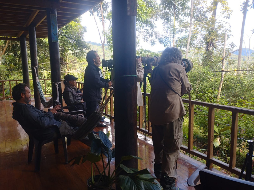 Inkamazonia Jungle Specialist-Manu必去景点