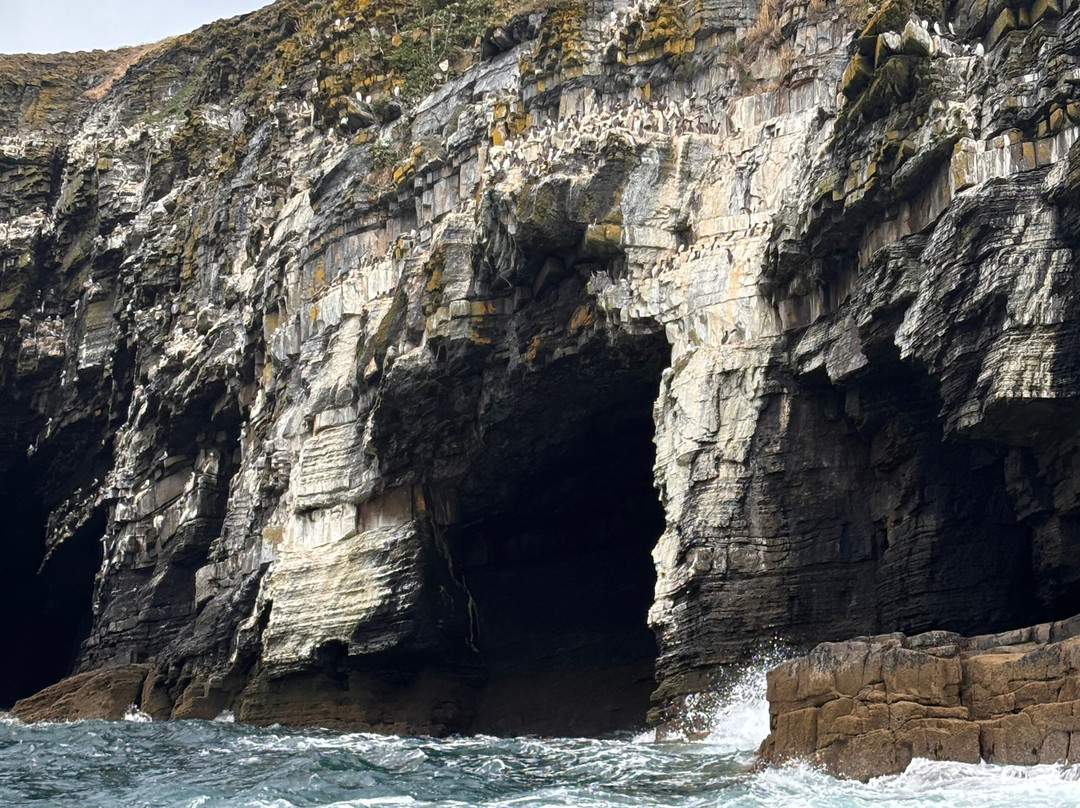 Abersoch Boat Trips-Abersoch必去景点