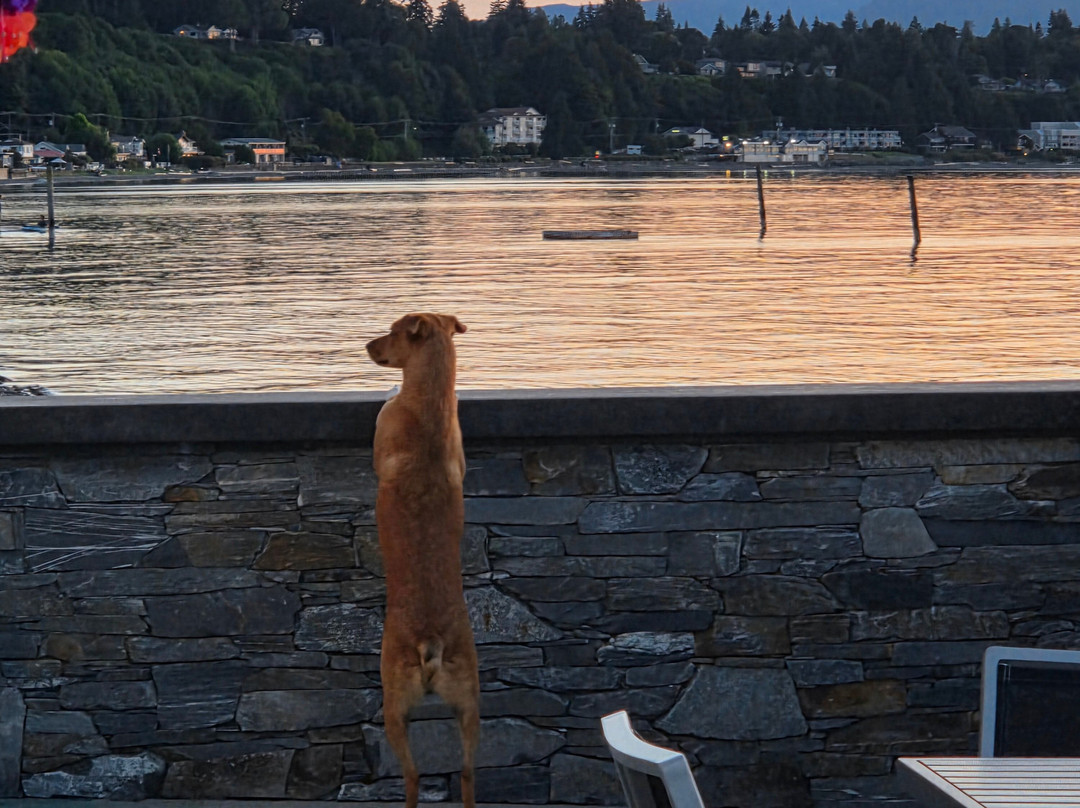 Qualicum Beach Ocean Suites