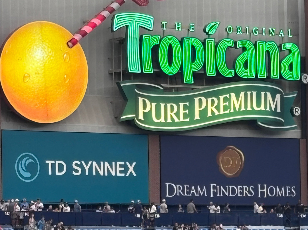 Tropicana Field-圣彼德斯堡必去景点