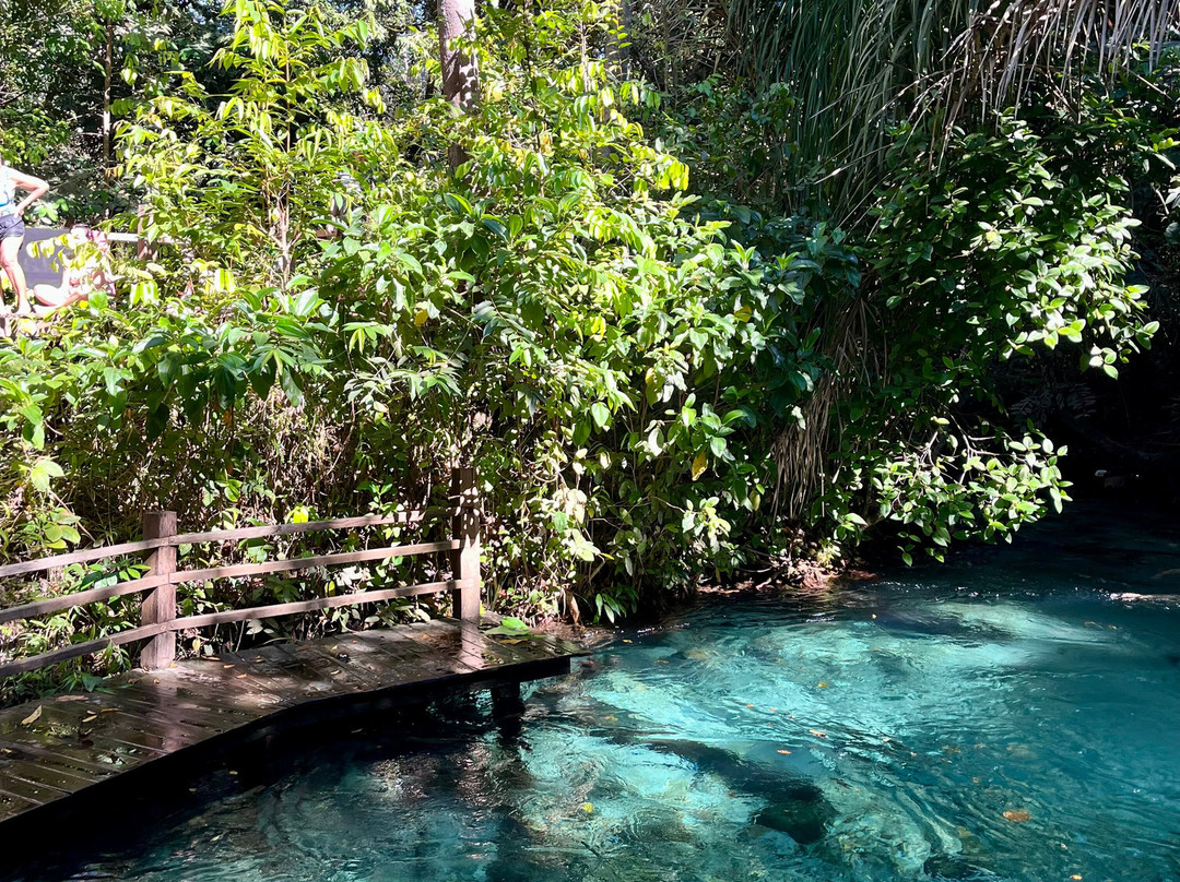 Cerrado Dourado Expedições-Jalapao State Park必去景点