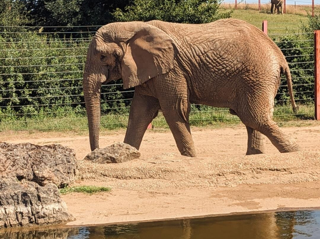 Noah's Ark Zoo Farm-Wraxall必去景点