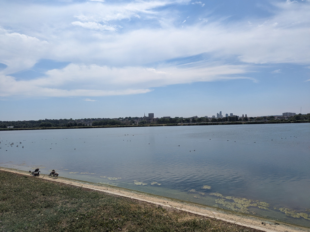 Walthamstow Wetlands-伦敦必去景点