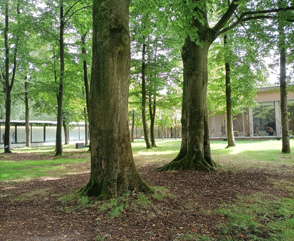 De Hoge Veluwe National Park-Gelderland Province必去景点