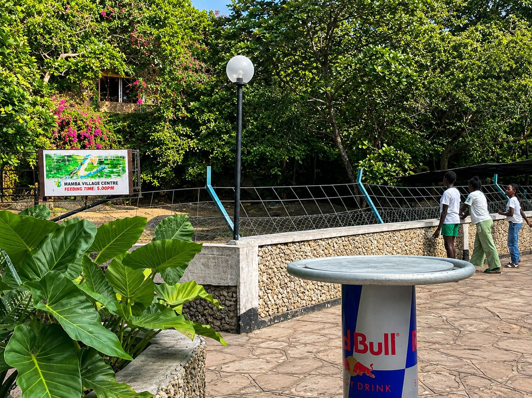 Mamba Village Centre-蒙巴萨必去景点