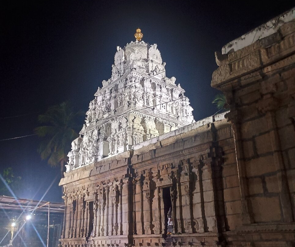 Sri Kalyana Venkateswaraswami Temple-蒂鲁伯蒂必去景点