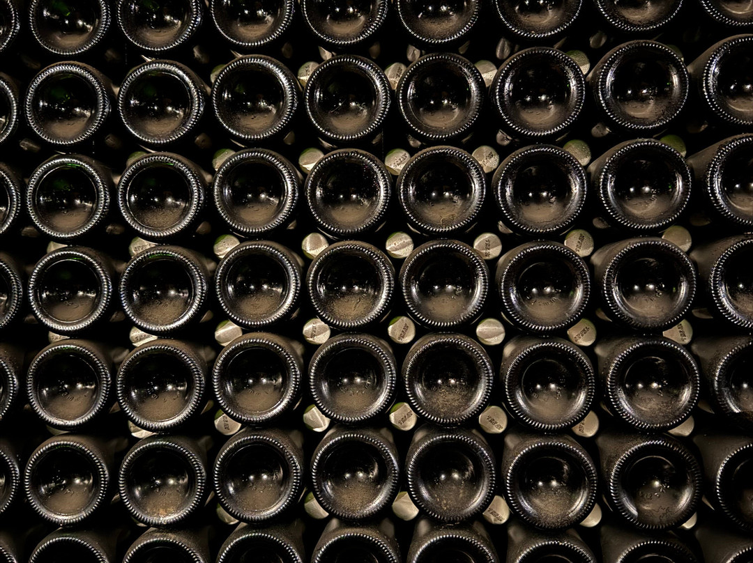 Cave de Vouvray-武夫赖必去景点