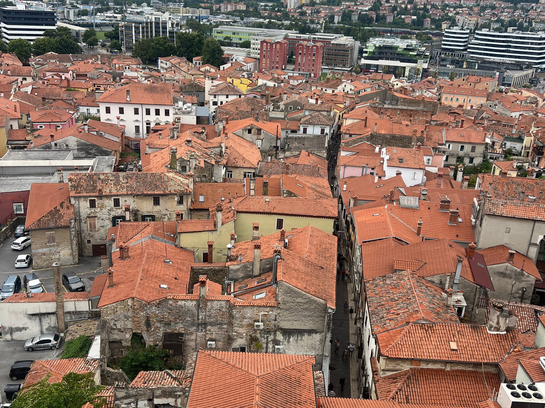 Koper Cathedral and Bell Tower-科佩尔必去景点