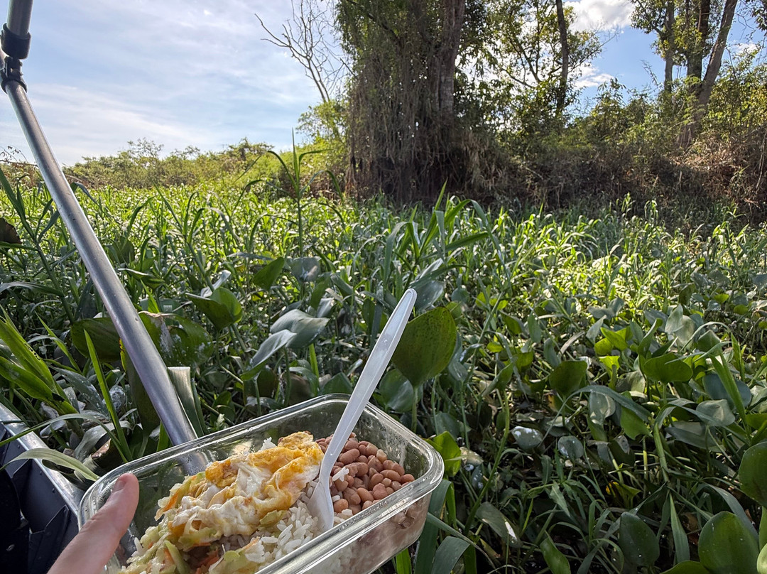 Wetland Jaguar Experience-波科内必去景点