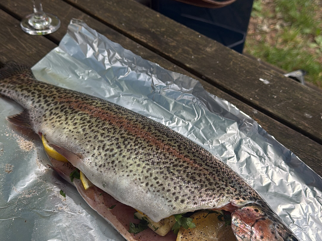 Holbury Lakes Trout Fishery-Lockerley必去景点