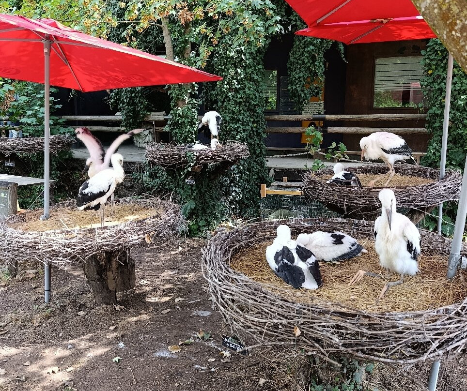 NaturoparC - Hunawihr-汉拿威必去景点