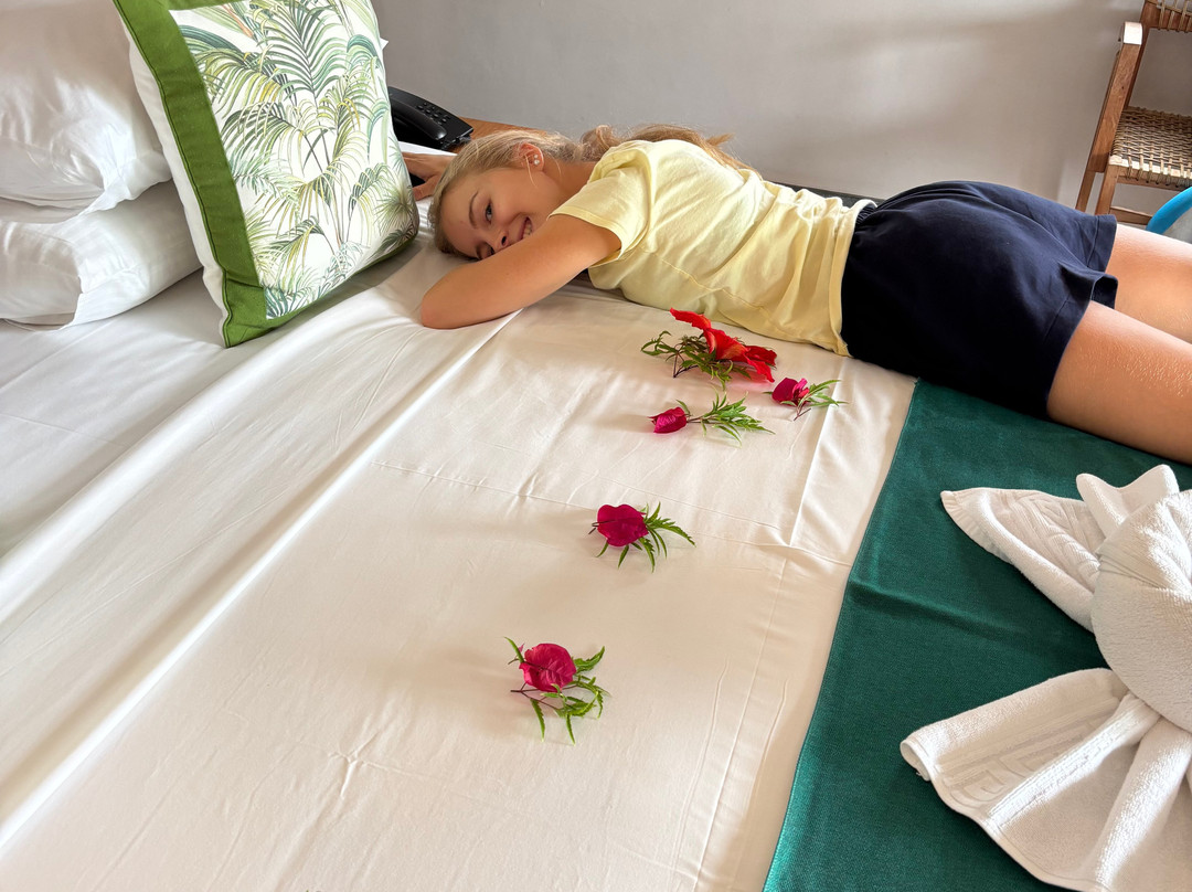 Les Lauriers Eco Hotel & Restaurant主图