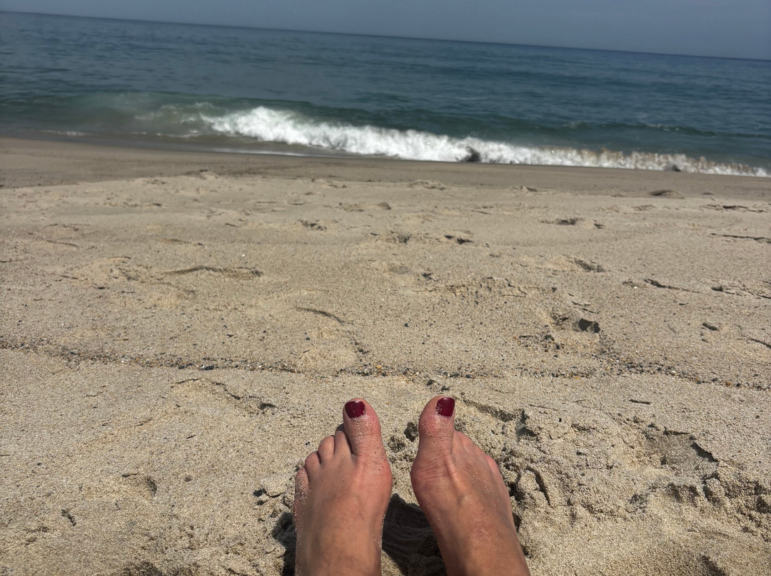 Nauset Beach-奥尔良必去景点