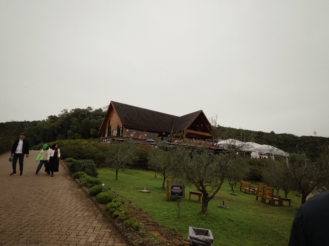 Parque Olivas de Gramado-格拉玛多必去景点